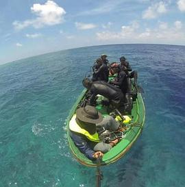 伊尼舍林的报丧女妖