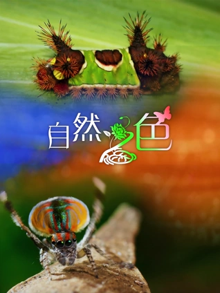 陆小凤传奇之陆小凤前传