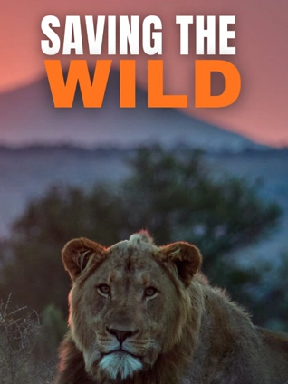 伊人亚洲国产区